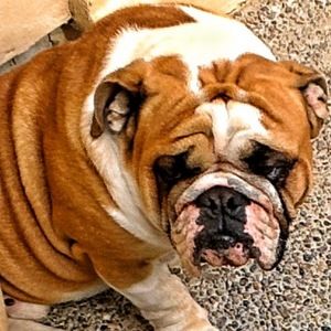 Meet your Posher, Jose